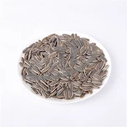 Πυρήνες ηλιόσπορων