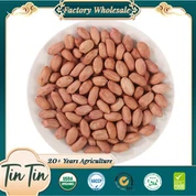 Πυρήνες φυστικιών υψηλής ποιότητας New Crop