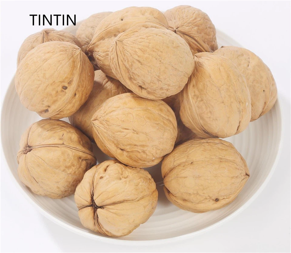 Ειδική έκπτωση φθηνότερη καρυδιά 185 καρυδιάς Inshell Xinjiang κατασκευαστή καρυδιά σε χαρτί καρυδιάς με κέλυφος